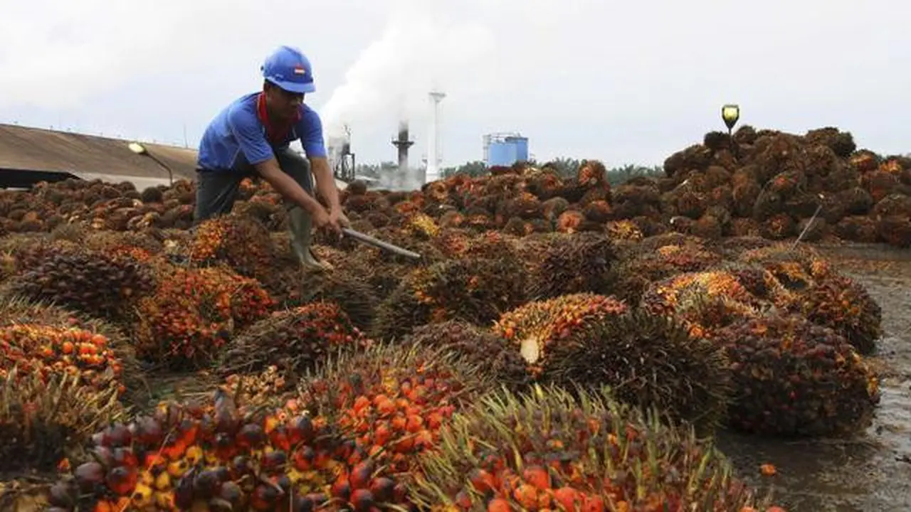 Berdayakan Petani Sawit, Ditjen Perkebunan Terus Konsisten Jalin Kemitraan Strategis