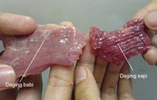 Cara membedakan daging sapi dan babi di pasar