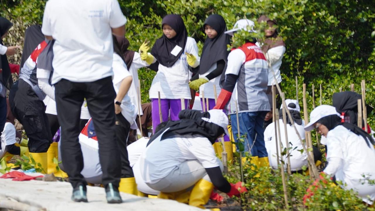 Tumbuhkan Cinta Lingkungan, Pertamina dan Siswa SD Tanam Puluhan Ribu Mangrove