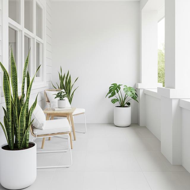 Model Teras Depan Rumah Sempit yang Bisa Jadi Ruang Santai Multifungsi (Image by Gemini AI)