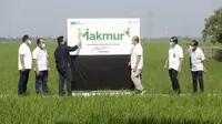 Menteri BUMN Erick Thohir meresmikan Program Makmur yang dipelopori oleh Pupuk Indonesia Group (dok: PIHC)
