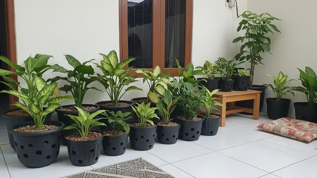 Menentukan Pot dan Media Tanam