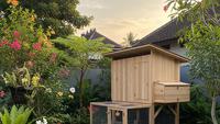 9 Desain Halaman Rumah Kombinasi Kebun dan Kandang Ayam, Solusi Urban Farming Estetik