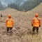 Kepulan Asap Bromo Mulai Teratasi, Petugas Tetap Waspada