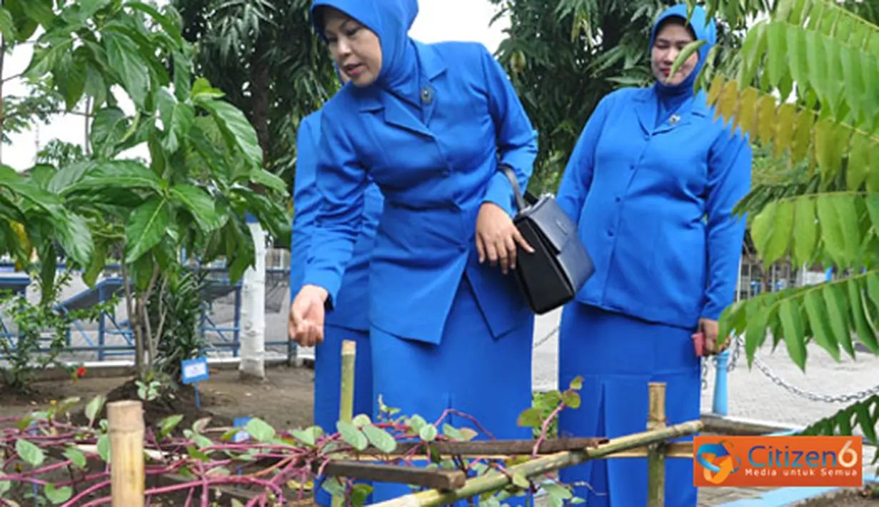 Citizen6, Surabaya: kegiatan Kunker yang dilakukannya selain untuk bersilaturahmi dengan anggota cabang  Jalasenasti, bertujuan pula untuk mengevaluasi pelaksanaan aturan AD ART. (Pengirim: Penkobangdikal)