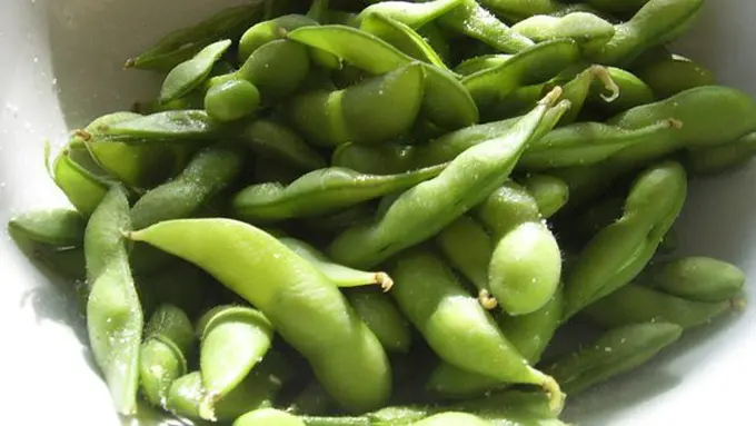 Kedelai/copyright Pixabay.com/PublicDomainPictures