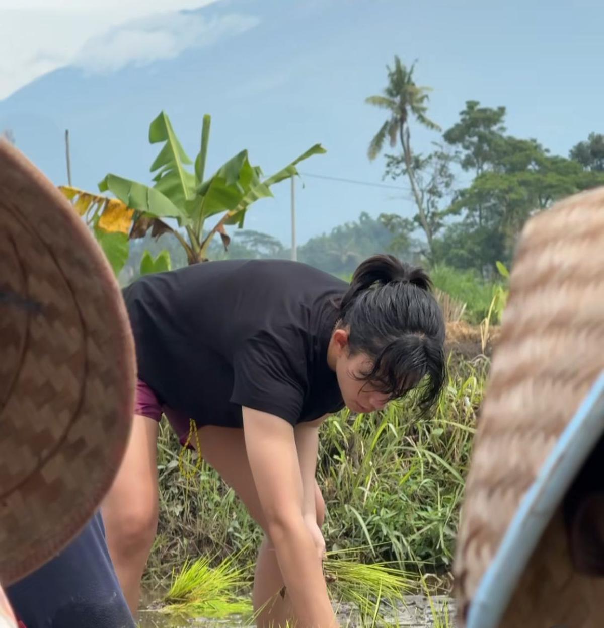 Potret Sintya Marisca Nyemplung ke Sawah Bantu Petani Menanam Padi
