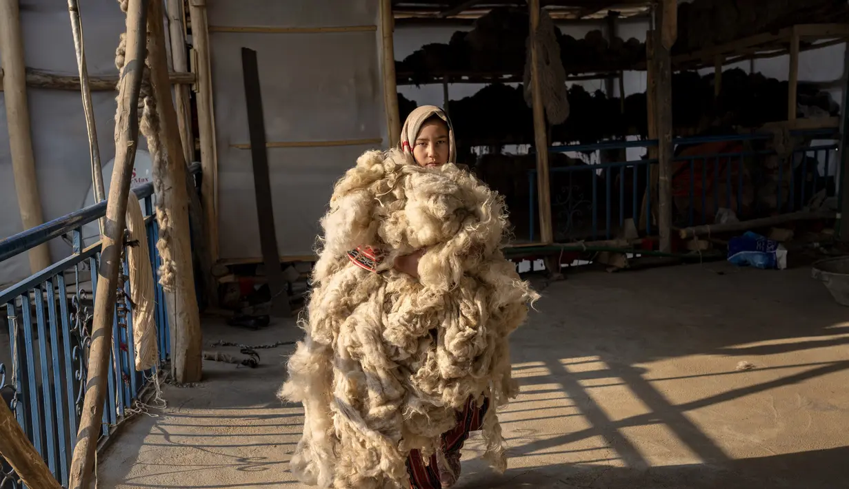 Seorang gadis Afghanistan bekerja di pabrik karpet tradisional di Kabul, Afghanistan, Minggu (5/3/2023). Hari Perempuan Internasional (IWD) adalah hari libur global yang dirayakan setiap tahun pada tanggal 8 Maret sebagai titik fokus dalam gerakan hak-hak perempuan, membawa perhatian pada isu-isu seperti kesetaraan gender, hak reproduksi, dan kekerasan dan pelecehan terhadap perempuan. (AP Photo/Ebrahim Noroozi)