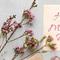 Fun facts about Mother's Day. (Photo: Freepik/Magnific)