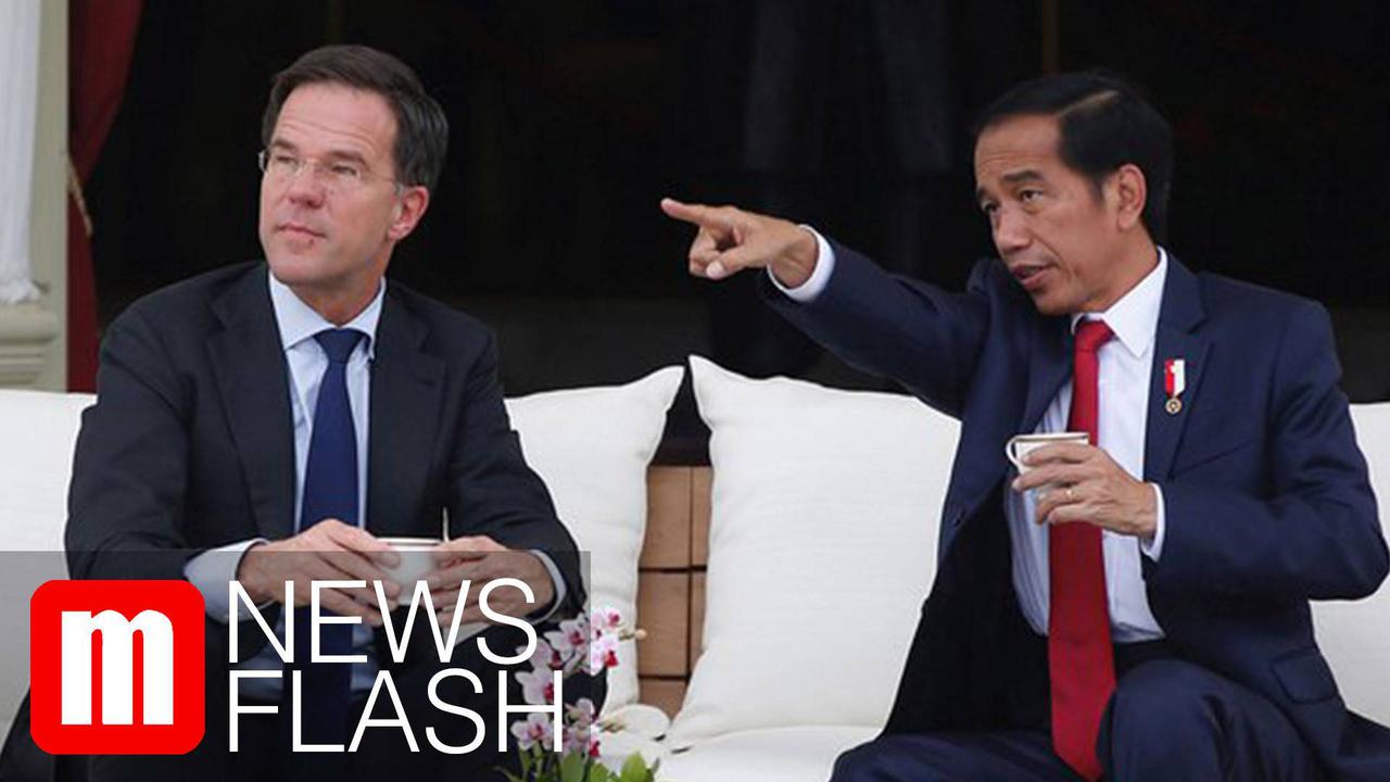 VIDEO: Jokowi Gandeng Belanda Dorong Industri Kelapa Sawit