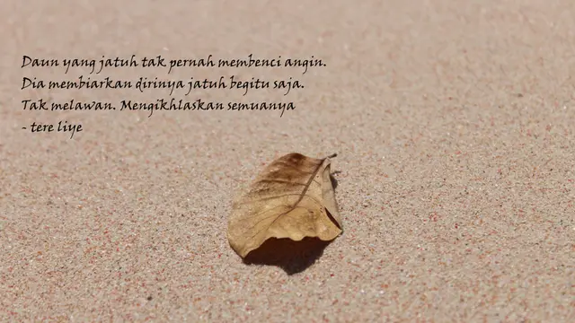 Berjuta Rasa Quote Tere Liye