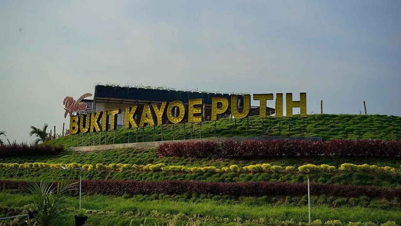 Wisata Bukit Kayoe Putih