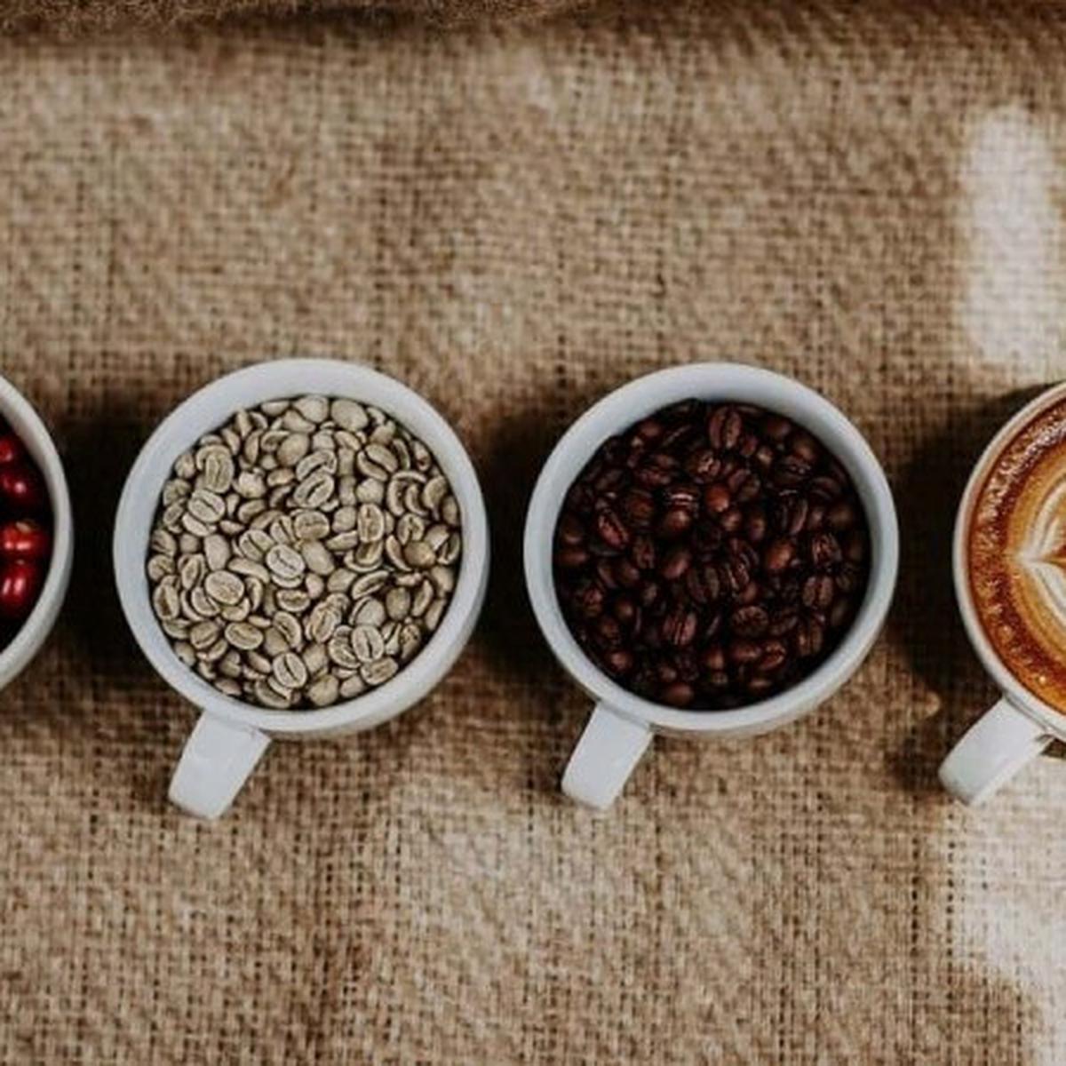 ilustrasi kopi