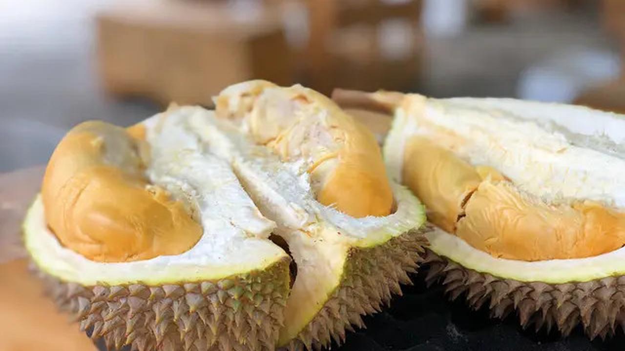 Manfaat Biji Durian yang Tersembunyi, Cara Membuat Rebusan untuk Kesehatan Tubuh