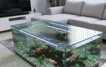 7 Model Kolam Koi Indoor di Rumah Kecil Agar Tetap Ringkas dan Menenangkan