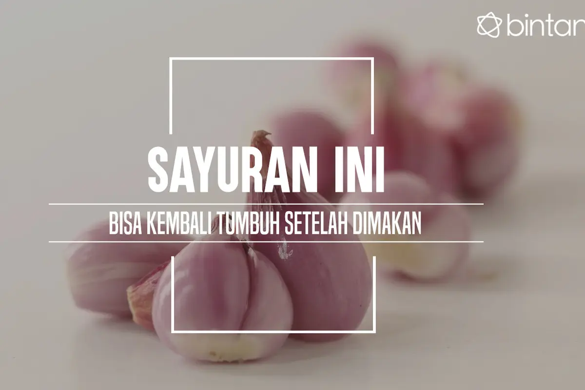 Sayur ini bisa kamu tanam dengan mudah. (Foto: Daniel Kampua, Digital Imaging: M. Iqbal Nurfajri/Bintang.com)