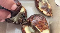 Viral Menu MBG di SD Kota Sukabumi Ditemukan Cicak dan Buahnya Busuk, Orang Tua Protes Keras