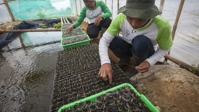 Berbagai usaha Danone-AQUA dalam pelestarian alam