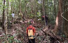 Operasi SAR Pencarian Nurpine di Hutan Barsel Memasuki Hari Kelima