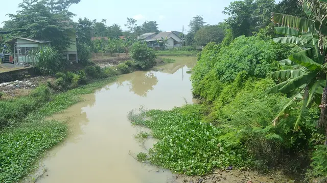 Penyempitan sungai di Sidareja, Cilacap, Jawa Tengah. (Foto: Liputan6.com/Muhamad Ridlo)