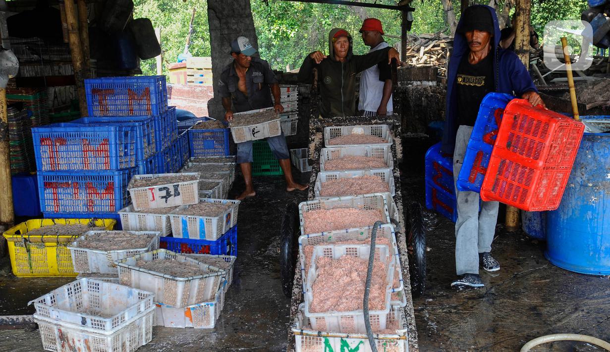 Rebon Kamal terkenal hingga ke Medan dan Kalimantan karena proses pengolahannya direbus dahulu dan rasanya yang gurih. (merdeka.com/Arie Basuki)