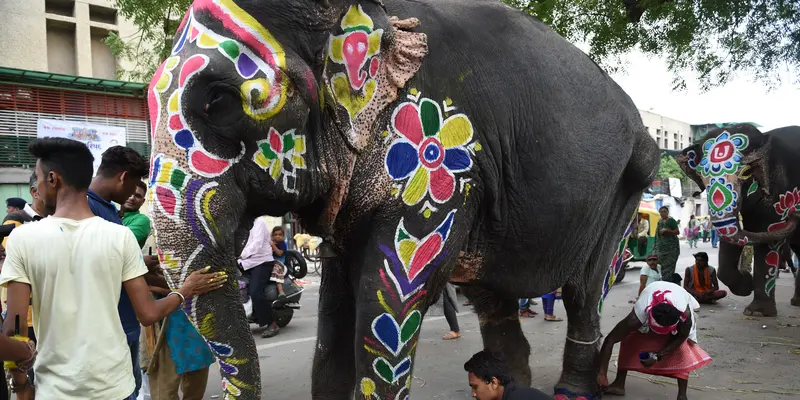 Puluhan Gajah Siap Ramaikan Festival Rath Yatra di India