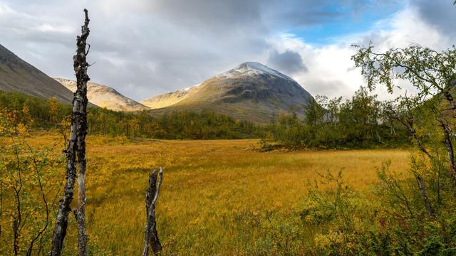 Sarek National Park