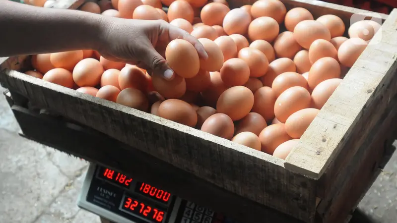 Harga Telur di Tingkat Peternak Mulai Turun