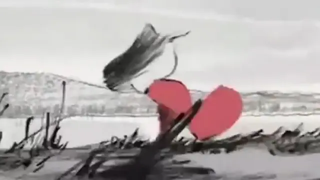 [VIDEO] Anime Putri Kaguya Tayangkan Trailer Panjang