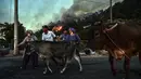 Orang-orang pergi dengan membawa hewan ternak mereka saat api semakin membesar di daerah Hisaronu, Turki, Senin (2/8/2021). Api dari kebakaran hutan yang masih terus berkobar membuat sejumlah warga memilih untuk mengungsi ke tempat yang lebih aman. (AP Photo)