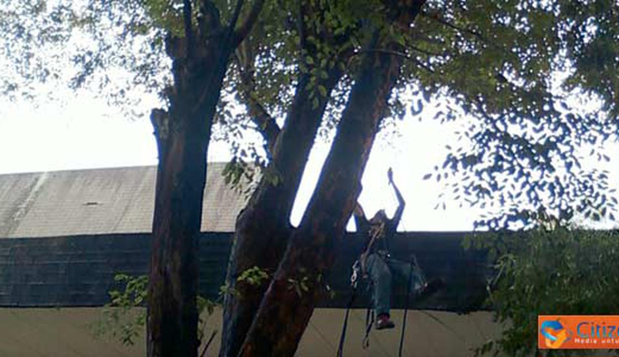 Citizen6, Jakarta: Wicaksono selaku anggota Caterva terlihat melatih kemampuannya (Pengirim: Kelompok 23)