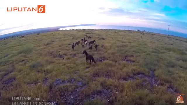 Alasan Majalah Jerman Pilih Sumba Sebagai Pulau Terindah Di