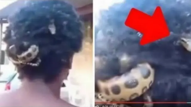 6 Potret Ikat Rambut dari Ular Ini Bikin Bergidik, Ngeri Banget