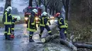 Petugas pemadam kebakaran membersihkan jalan setelah pohon tumbang di jalan dekat Dragun, Jerman, Kamis (17/2/2022). Badan meteorologi memperingatkan bahwa lebih lanjut cuaca ekstrim sedang dalam perjalanan. (Photo: Jens Buettner/dpa via AP)