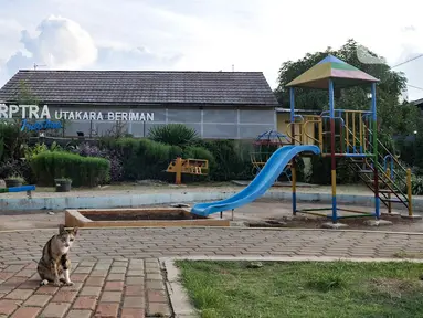 Seekor kucing terlihat di Ruang Publik Terpadu Ramah Anak (RPTRA) Utakara Beriman, Jakarta, Senin (8/6/2020). Sebelumnya Gubernur Anies Baswedan mengumumkan akan membuka kembali  RPTRA untuk umum saat masa PSBB Transisi. (merdeka.com/Iqbal S Nugroho)