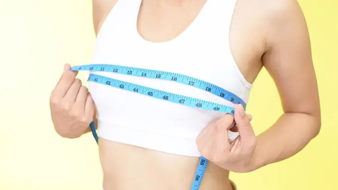 Perbesar Payudara dengan Minyak Bulus, Mitos atau Fakta?