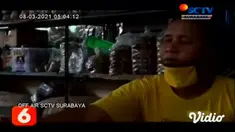 Cuaca ekstrem dan serangan hama diduga menjadi penyebab menipisnya stok cabai di sejumlah wilayah di Jawa Timur sehingga harganya terus melambung.