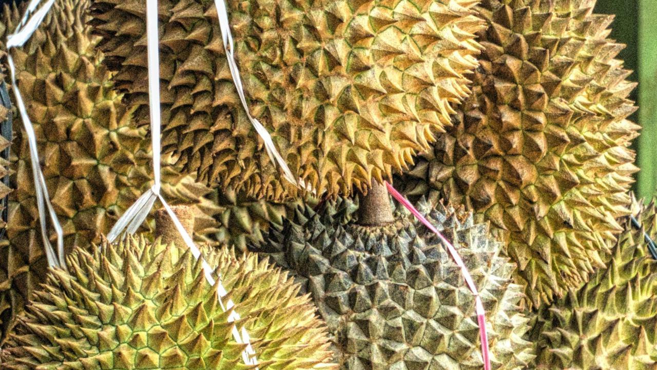 Dampak Mengonsumsi Durian yang Berlebihan dan Cara Mengatasi Efek Mabuknya