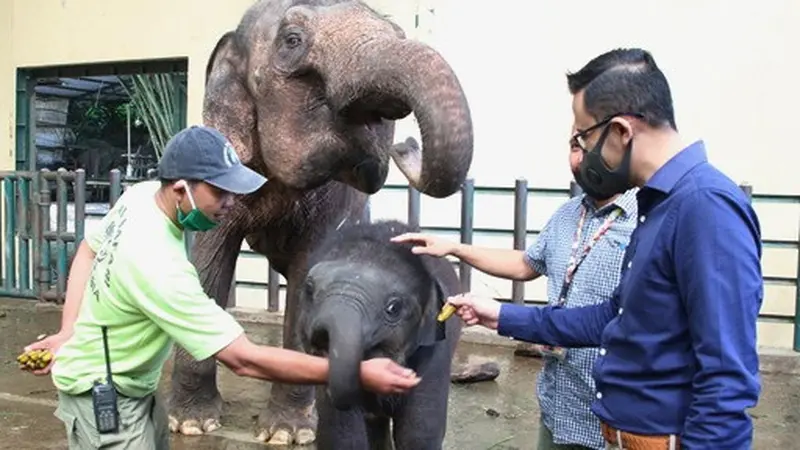 Hero Group Sumbang Pakan bagi Hewan-Hewan Koleksi Taman Safari Indonesia