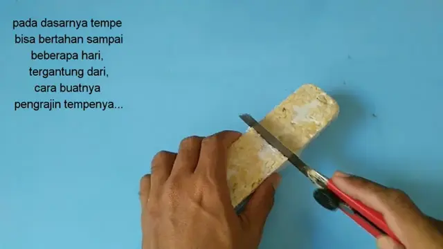 Tanpa Bahan Tambahan, ini Cara Simpan Tempe Agar Tidak Cepat Busuk