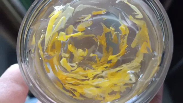 Review: Masker Calendula dan Toner untuk Kulit Berjerawat dari Rouva