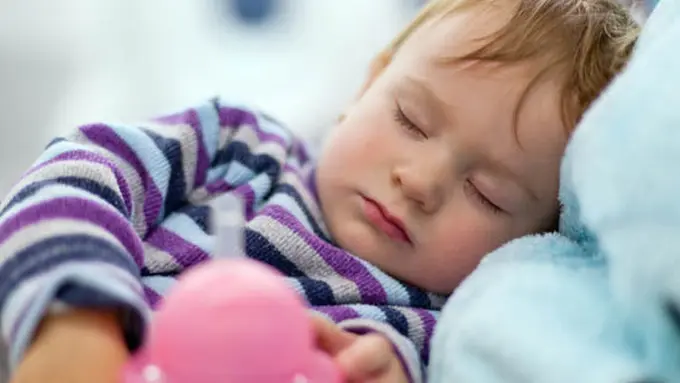 copyright by Shutterstock.com