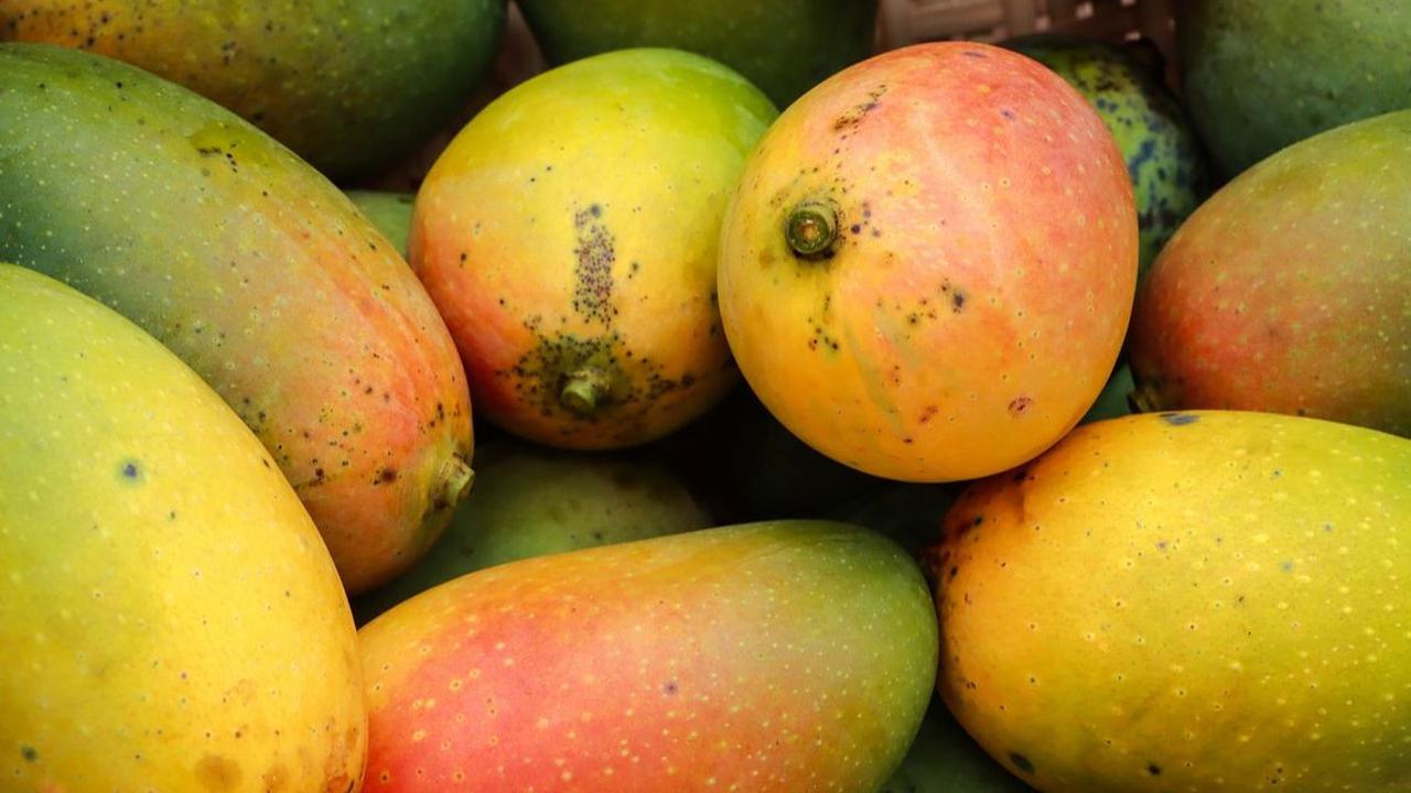 Kandungan dan Manfaat Buah Mangga