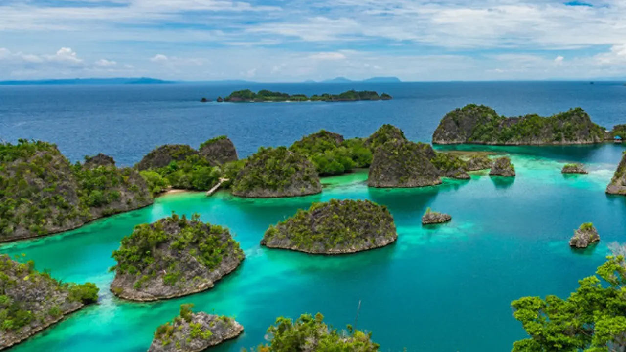 Raja Ampat 2018