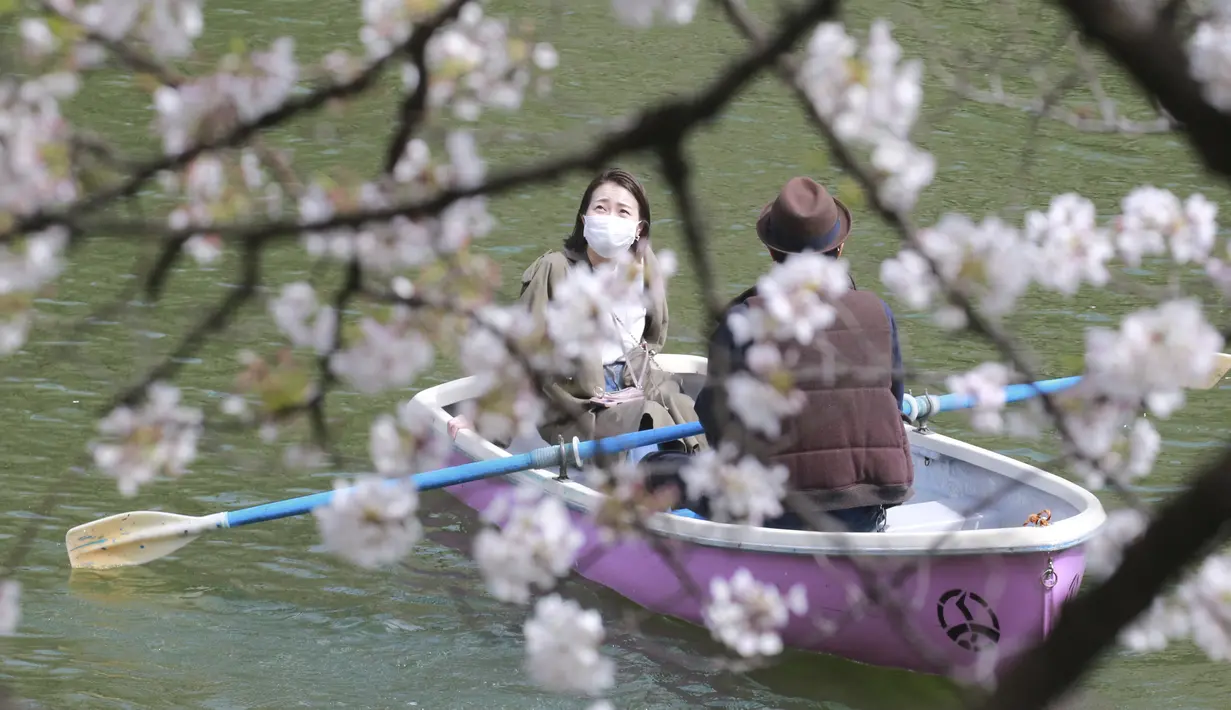 Wisatawan yang memakai masker menaiki perahu dayung sambal menikmati mekarnya bunga sakura di Tokyo, Senin (29/3/2021). Menyaksikan sakura dari atas perahu dayung sambil menyusuri aliran sungai memberikan pengalaman berbeda. (AP Photo/Koji Sasahara)