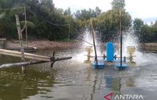 BMKG Ingatkan Petambak Waspada Pasang Laut Kaltim Capai 2,8 Meter