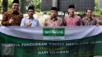 PBNU Terima Kurban Sapi Unggulan Seberat 890 Kg