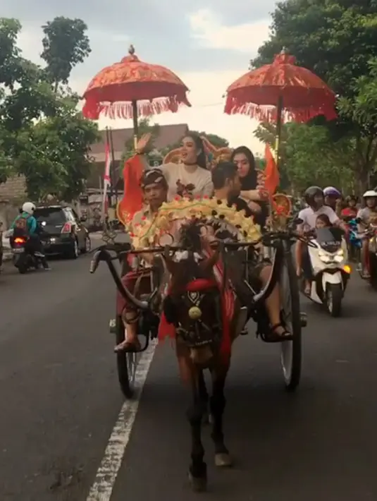 Perjalanan Syahrini keliling Kota Jambrana itu diunggah melalui media sosialnya. Dalam video singkat itu, Syahrini diarak dengan delman keliling kota. Diiringi beberapa sepeda motor disamping kiri delman. (Instagram/princessyahrini)