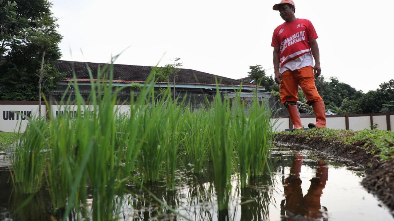 Kenalkan Konsep Pertanian Berkelanjutan di Perkotaan