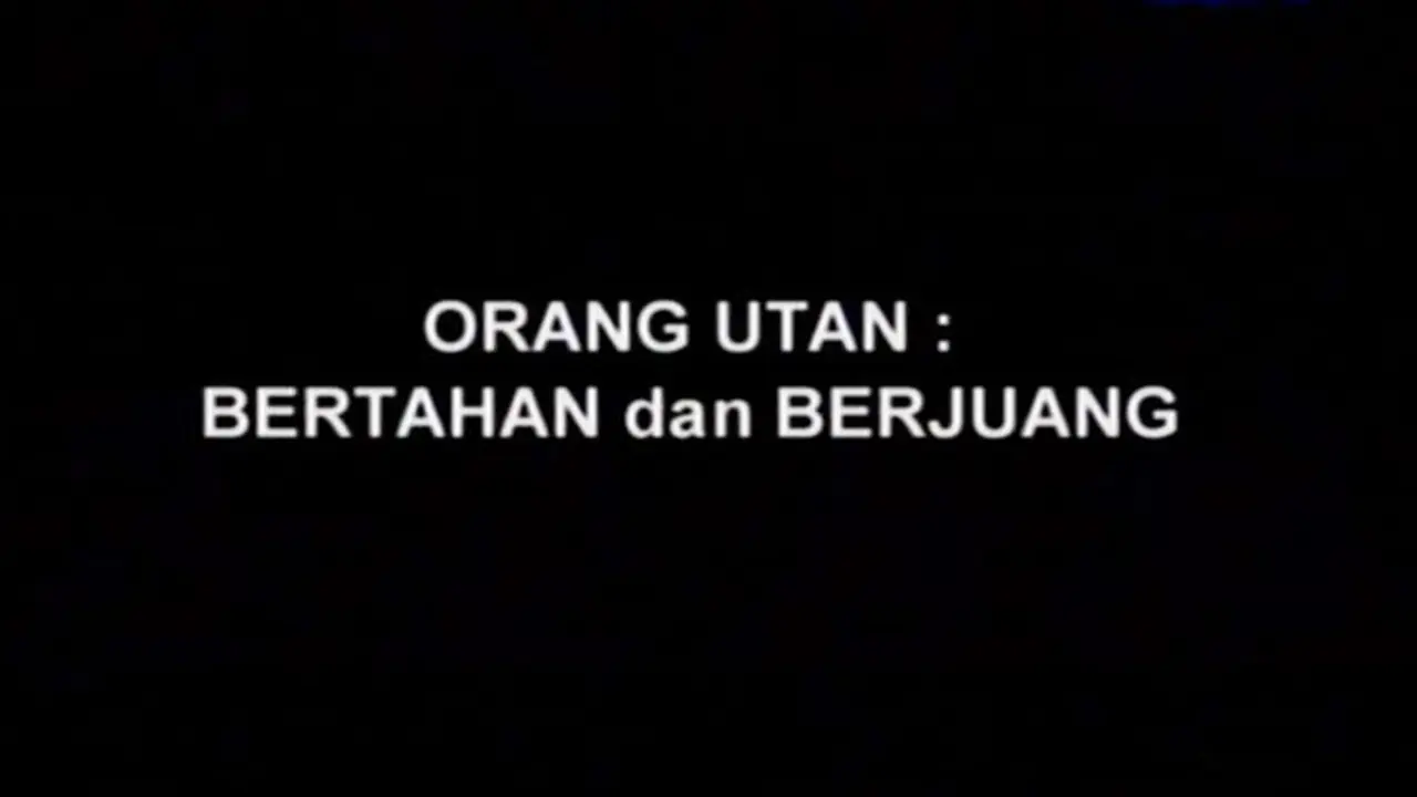 Potret Menembus Batas: Orang Utan Bertahan dan Berjuang